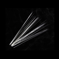50 Tapered Animal Whiskers Black/White Needle Felting
