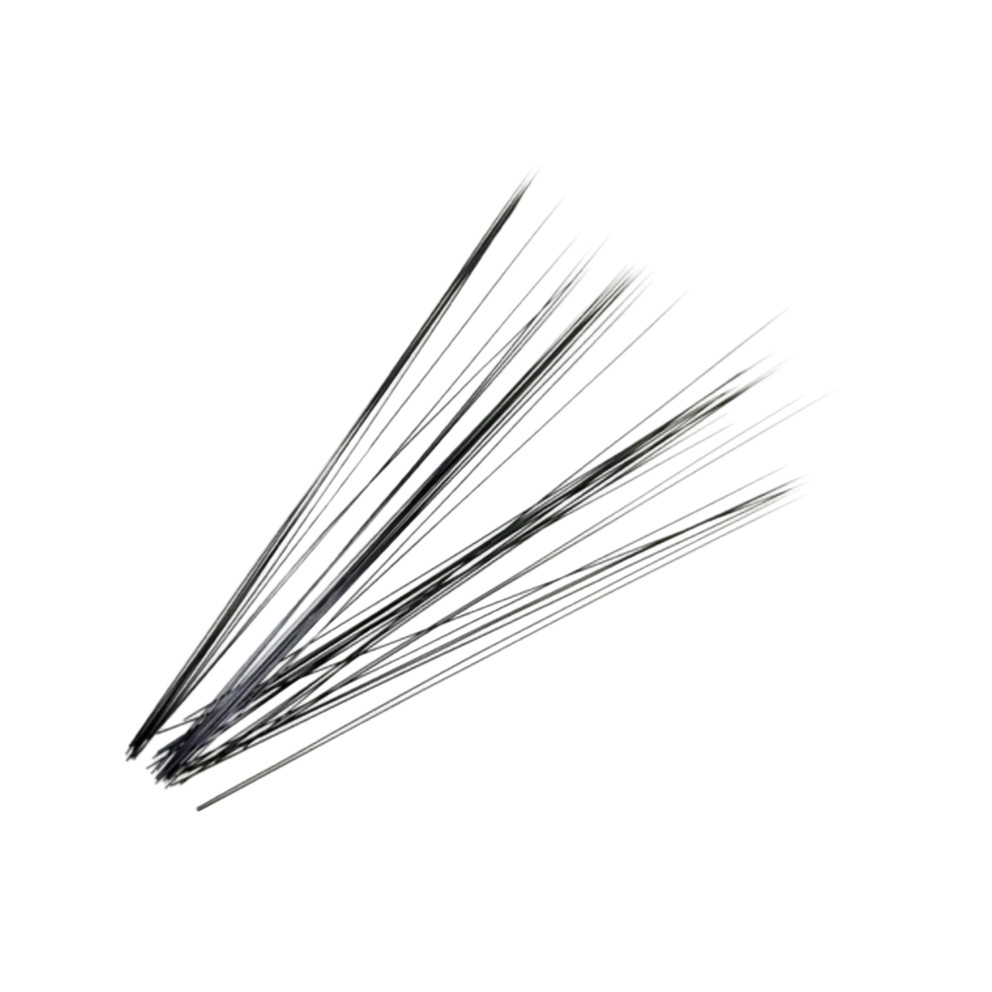 50 Tapered Animal Whiskers Black/White Needle Felting