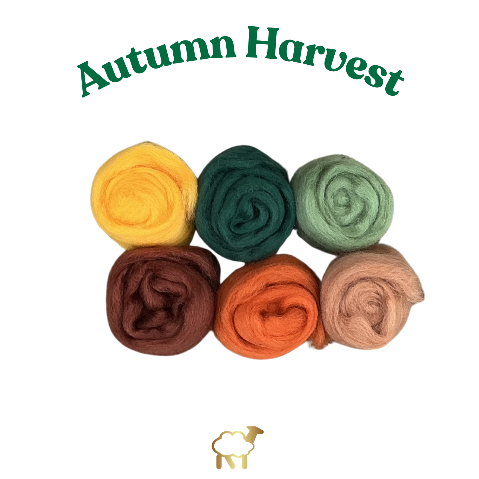 Autumn_Harvest_merino_needle_felting_wool