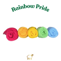 Merino Wool ‘Rainbow Pride’ Wool Pack
