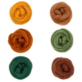 Merino Needle Felting Wool Autumn Harvest