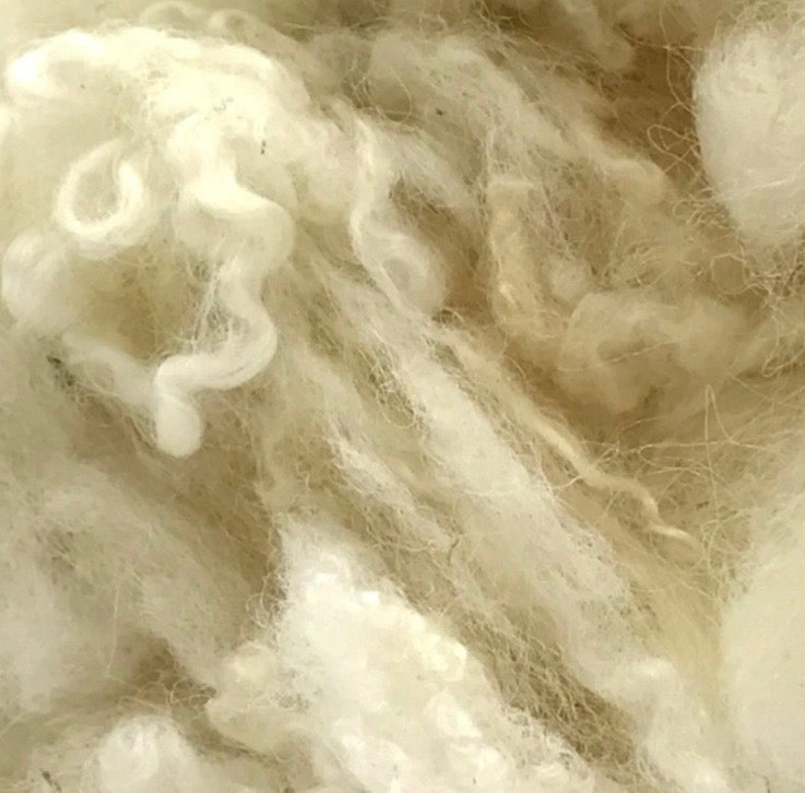 Wool curls
